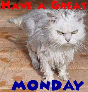 Have a Great Monday Have a Great Monday