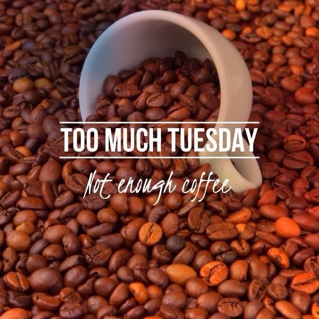 Too Much Tuesday