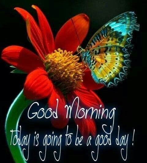 Good Morning