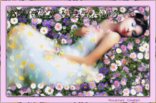 Sweet Dreams