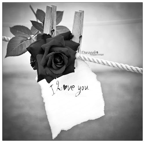 I love you