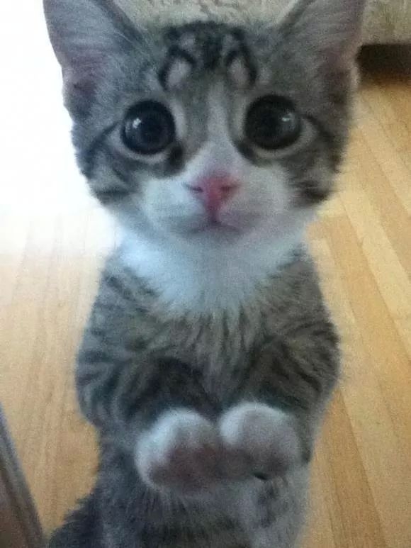 Hi There