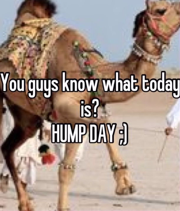It's Hump Day