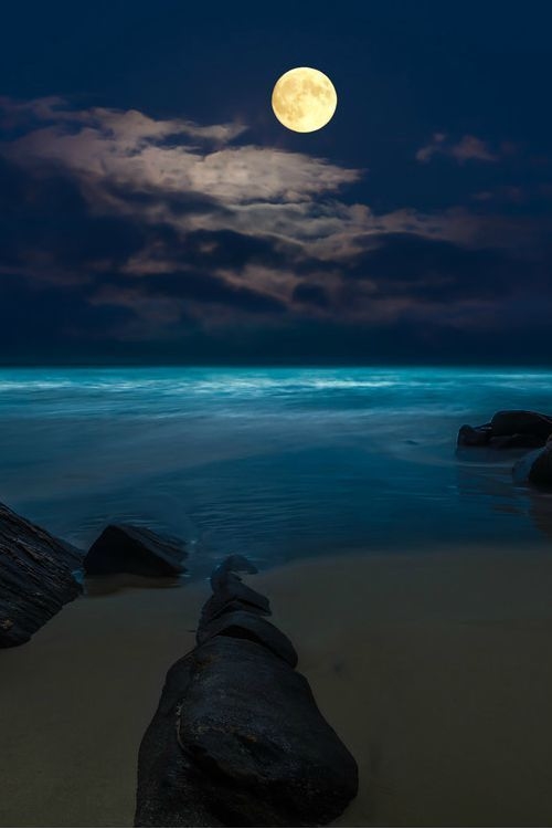 Beauty Mother Earth