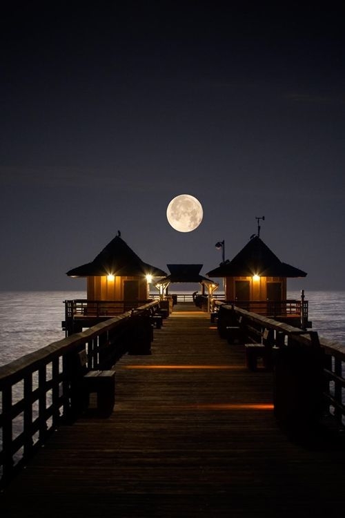 Moonlit Boardwalk