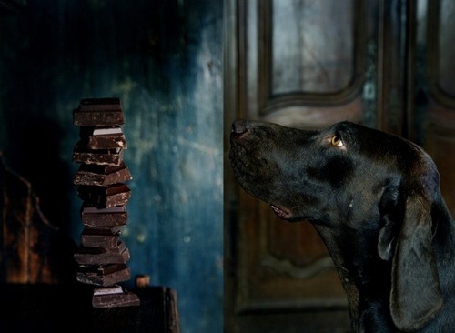 Temptation!