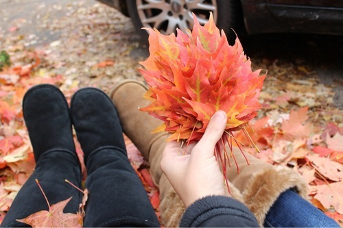 Handful of leaves Handful of leaves