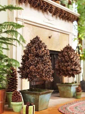 Pine cone trees