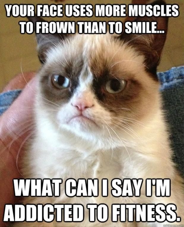 Grump Cat Frown Grump Cat Frown