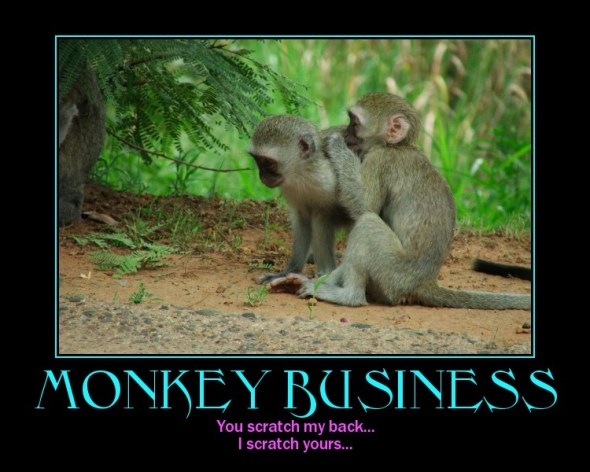 Monkey buisiness