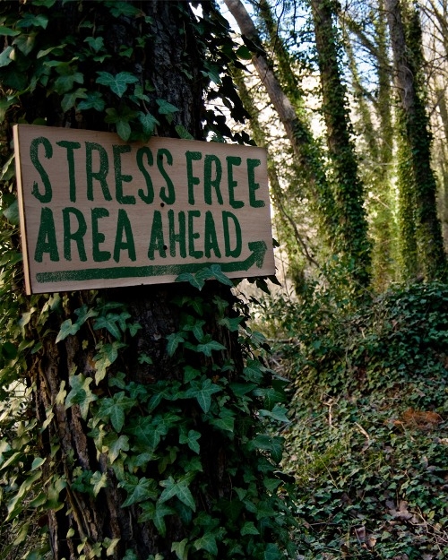 Stress free ahead Stress free ahead