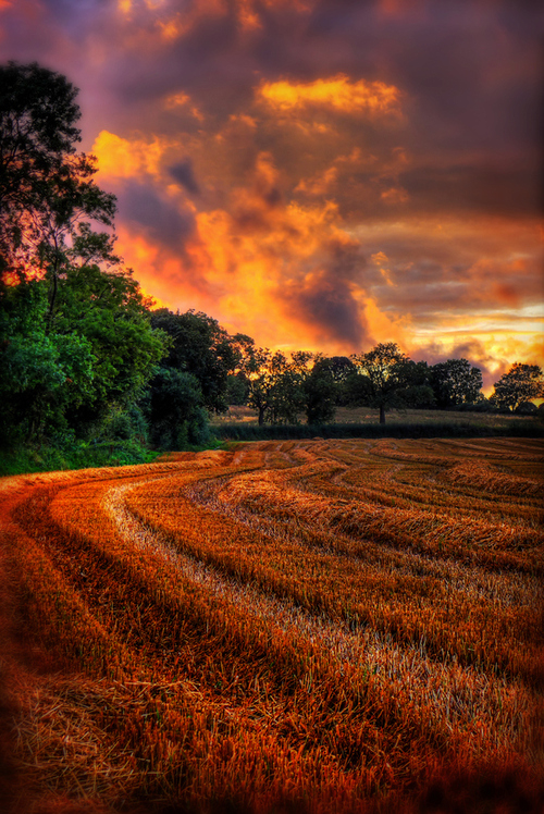 Orange clouds on the horizon Orange clouds on the horizon