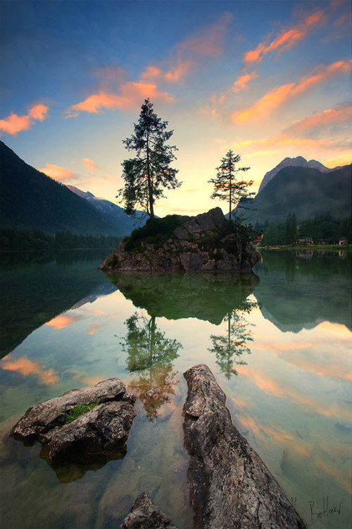 Reflection of trees Reflection of trees