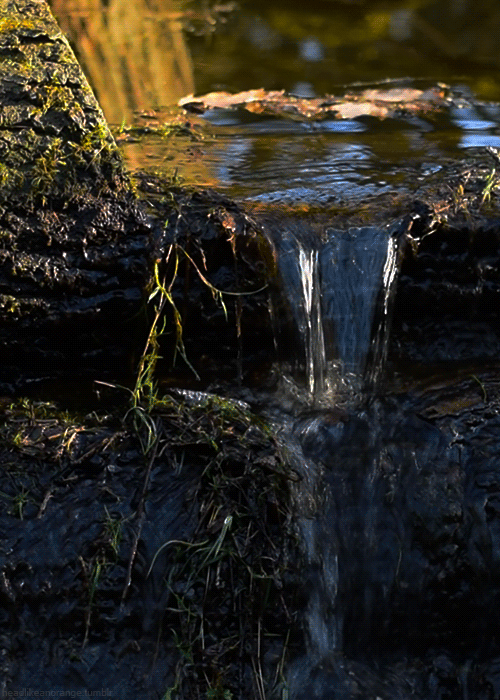 Stream of water
