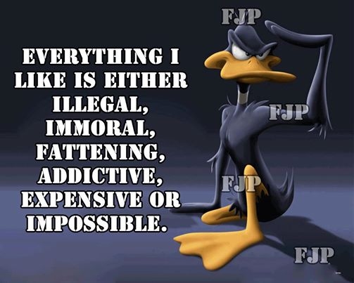 Everything I Like Everything I Like