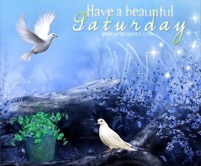 Have a beautiful saturday Have a beautiful saturday