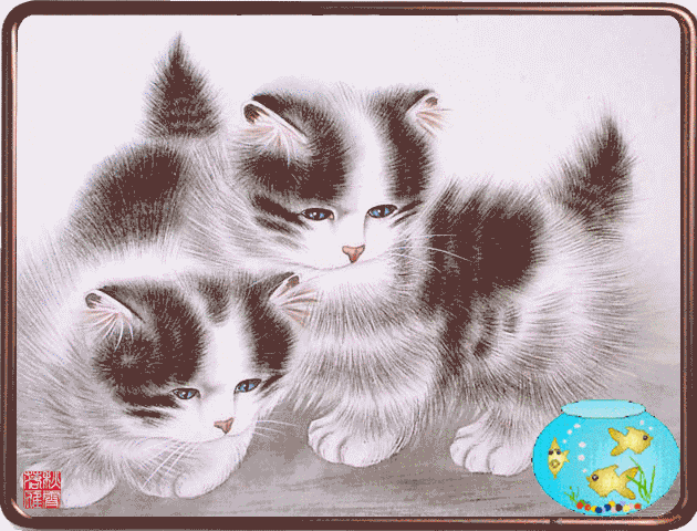 Kitties watching Fish