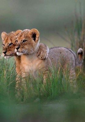 Brother, I Got Yur Back!! Brother, I Got Yur Back!!