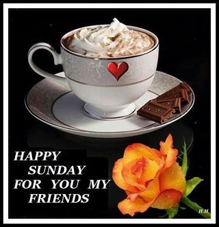 Happy Sunday Happy Sunday