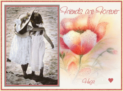 Friends Are Forever - Hugs