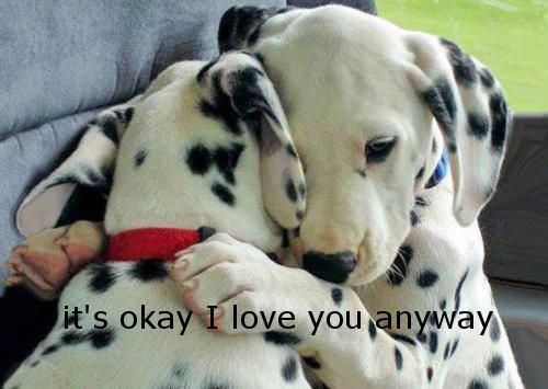 Its Ok Its Ok