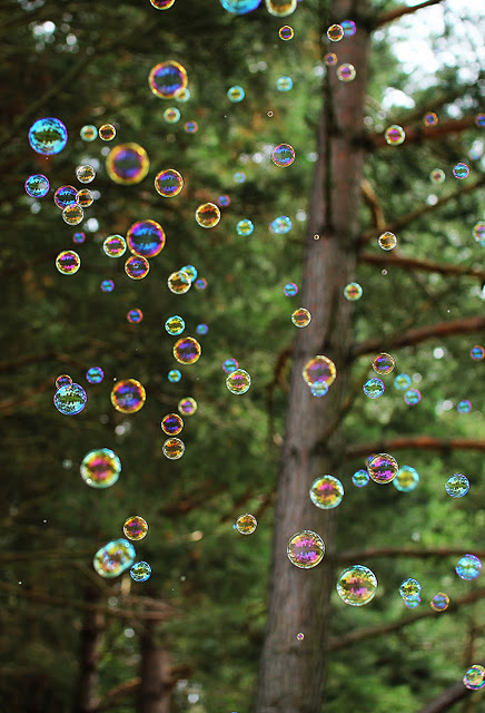 Bubbles Bubbles