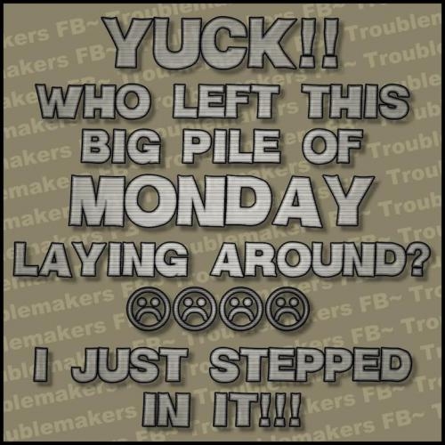Yuck!!  Who left this big pile of Monday laying around?