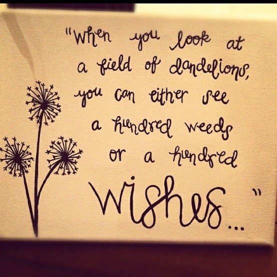 When you look at a field of dandelions..