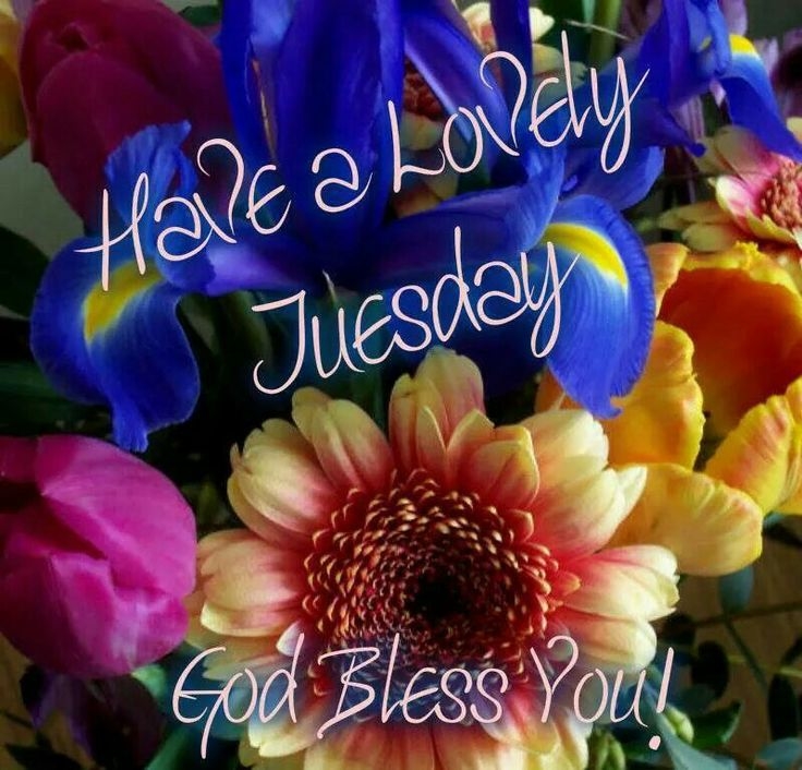 Have a lovely Tuesday Have a lovely Tuesday