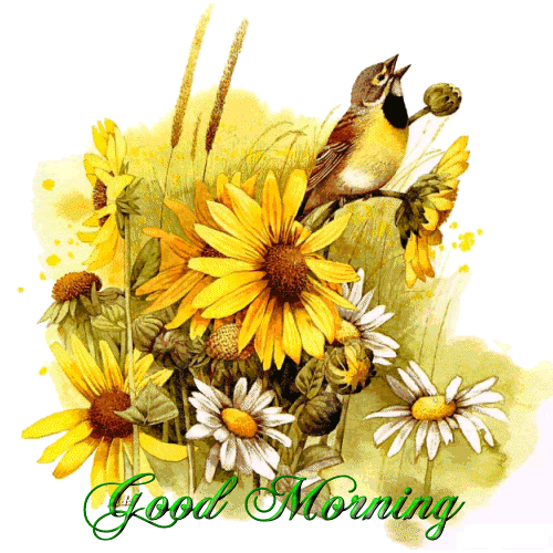 Good Morning Good Morning