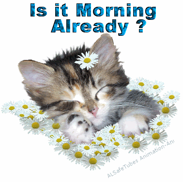 Is it morning already?