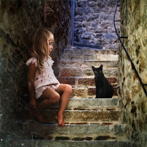 Little black cat