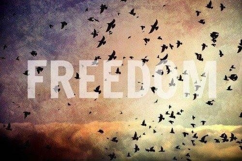 Freedom Freedom