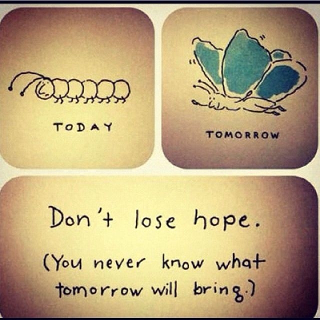 Dont Lose Hope