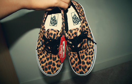 Leopard vans