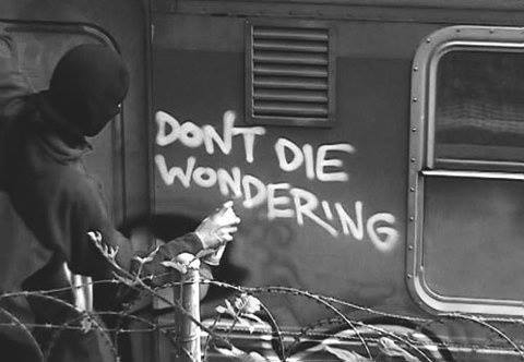 Dont die wondering