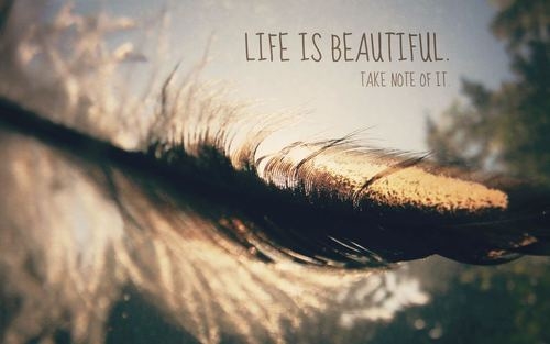 Life is beautiful Life is beautiful