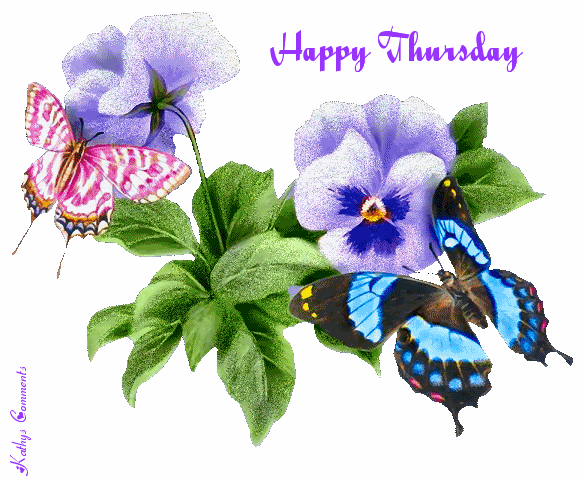 Happy Thursday Happy Thursday