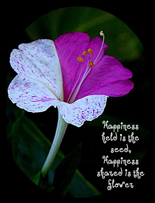 Happiness held is the seed, happiness shared is the flower