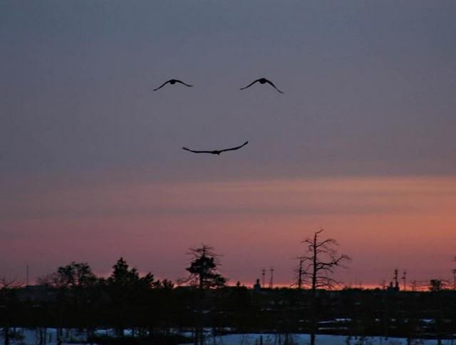 Happy Day