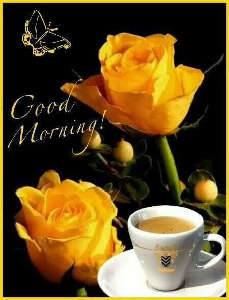 Good Morning