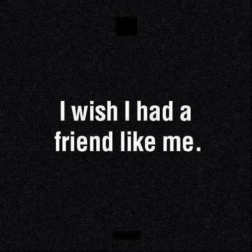 I wish I had a friend like me