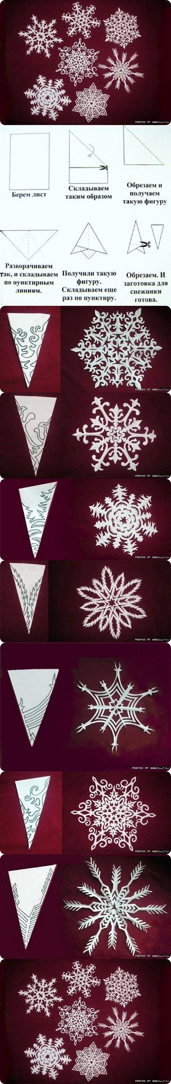 DIY Snowflakes from Paper