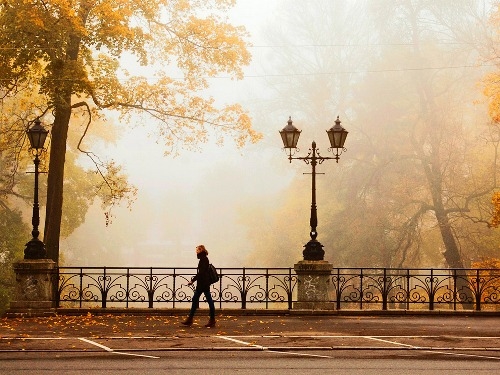 Autumn fog Autumn fog