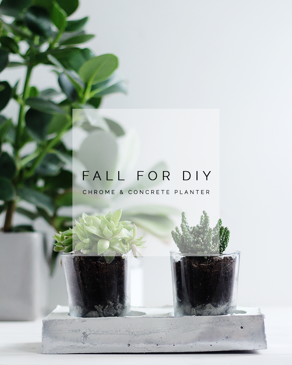 DIY Chrome and Concrete Planter DIY Chrome and Concrete Planter