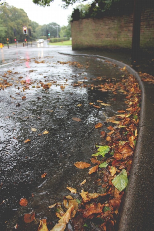 Wet autumn streets Wet autumn streets