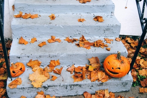 Jack O Lanterns