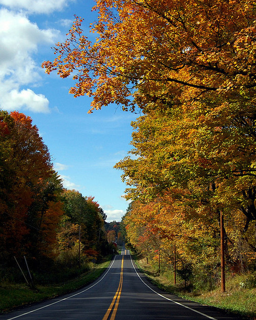 Crisp blue autumn skies Crisp blue autumn skies