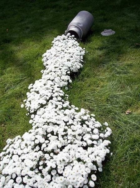 Spilled Flower Pots
