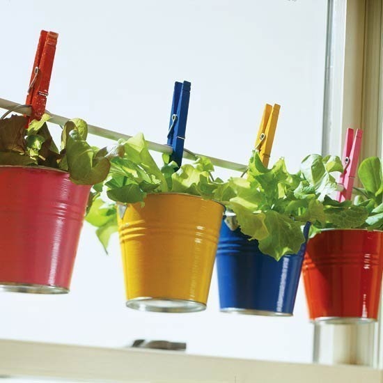 Cute Colored Tin Planter Garden